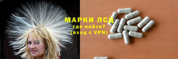 ГАЛЛЮЦИНОГЕННЫЕ ГРИБЫ Вяземский