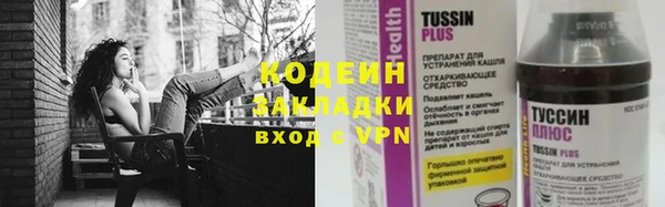 ГАЛЛЮЦИНОГЕННЫЕ ГРИБЫ Вяземский