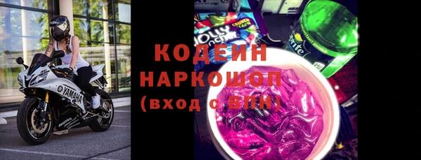 ГАЛЛЮЦИНОГЕННЫЕ ГРИБЫ Вяземский