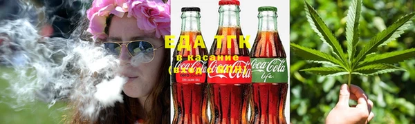 ГАЛЛЮЦИНОГЕННЫЕ ГРИБЫ Вяземский