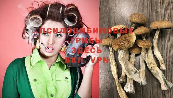 ГАЛЛЮЦИНОГЕННЫЕ ГРИБЫ Вяземский
