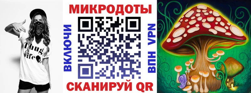 Купить закладки  Сасово  Псилоцибиновые грибы Psilocybine cubensis 