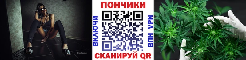 Купить где  Сасово  Конопля Bruce Banner 